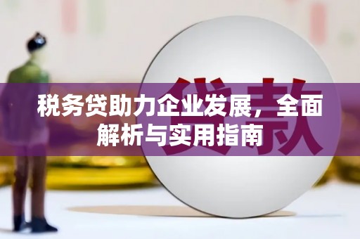 太平税务贷助力企业发展，全面解析与实用指南