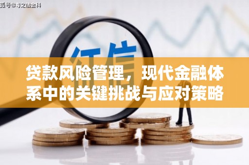 深泽贷款风险管理，现代金融体系中的关键挑战与应对策略