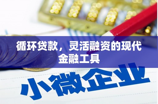 龙华新区循环贷款，灵活融资的现代金融工具