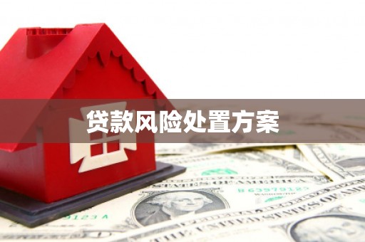湖西贷款风险处置方案