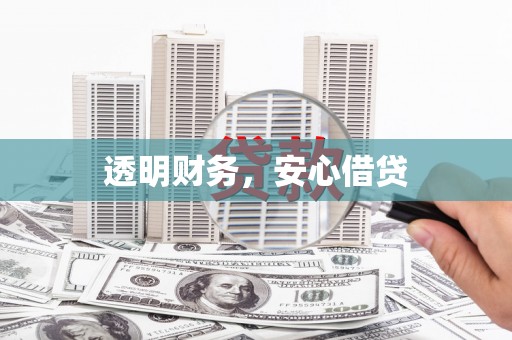 泌阳透明财务，安心借贷