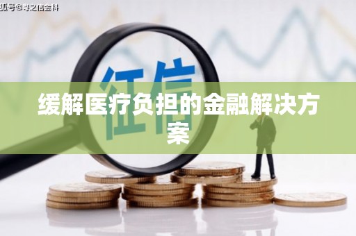 赫山缓解医疗负担的金融解决方案