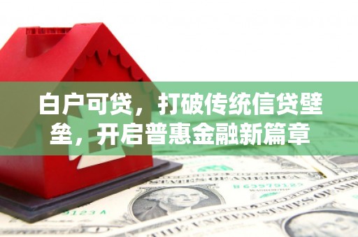 黑龙江白户可贷，打破传统信贷壁垒，开启普惠金融新篇章