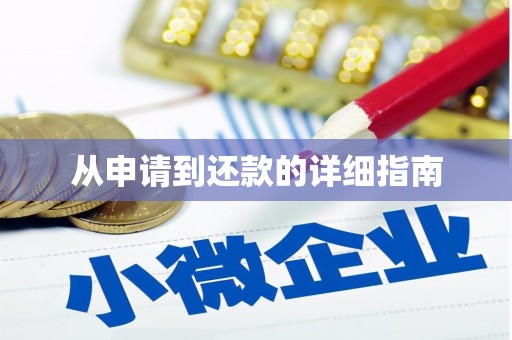 乐东从申请到还款的详细指南
