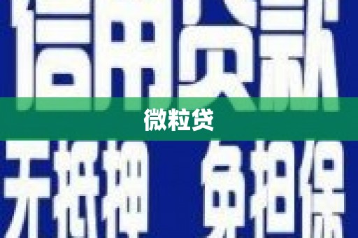 耒阳微粒贷