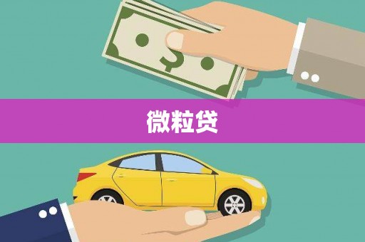 双台子微粒贷