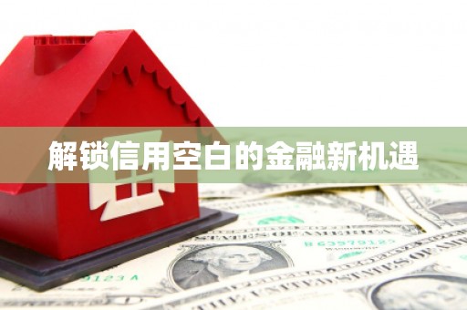 红安解锁信用空白的金融新机遇