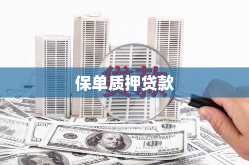 黟县保单质押贷款