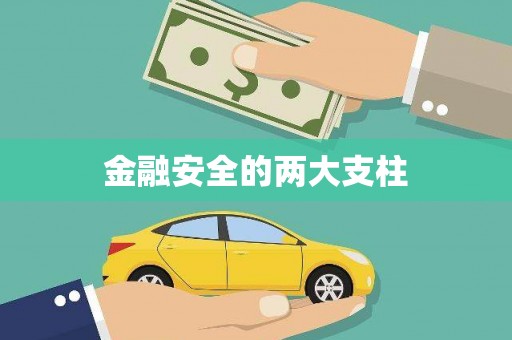 稻城金融安全的两大支柱