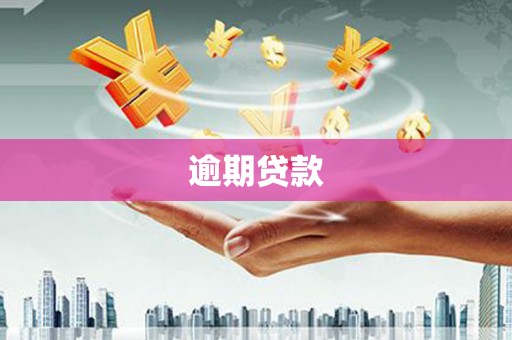 长滨逾期贷款
