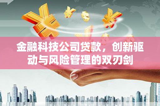 襄阳金融科技公司贷款，创新驱动与风险管理的双刃剑